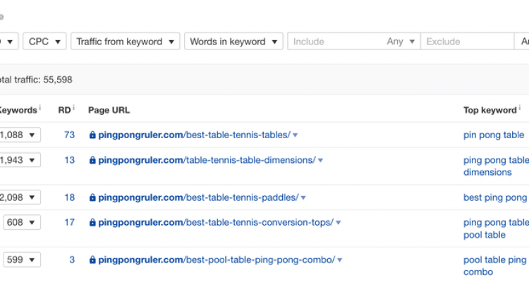 How to Transition from DIY SEO to SEO Consulting