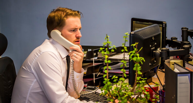 Buyer Behavior and Trust in Online Insurance Purchases Unveiled