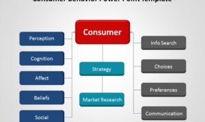 Consumer Trends in Buying Affordable vs Premium Accessories