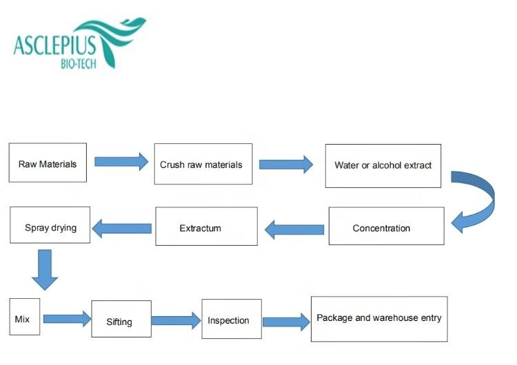 Best Selling Lifestyle Items Consumers Love in 2025