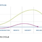 Sales Growth Strategies in Emerging Business Opportunities